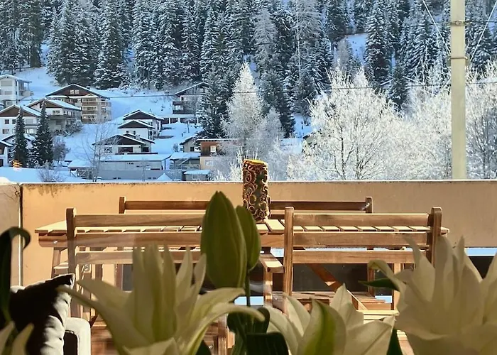 Appartement Furnished Platz Close To Wef *